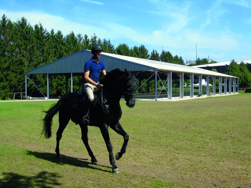 Paardensport 1